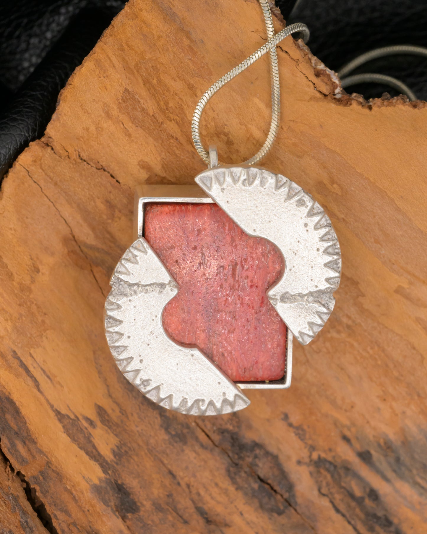 Dino fossil in compass frame