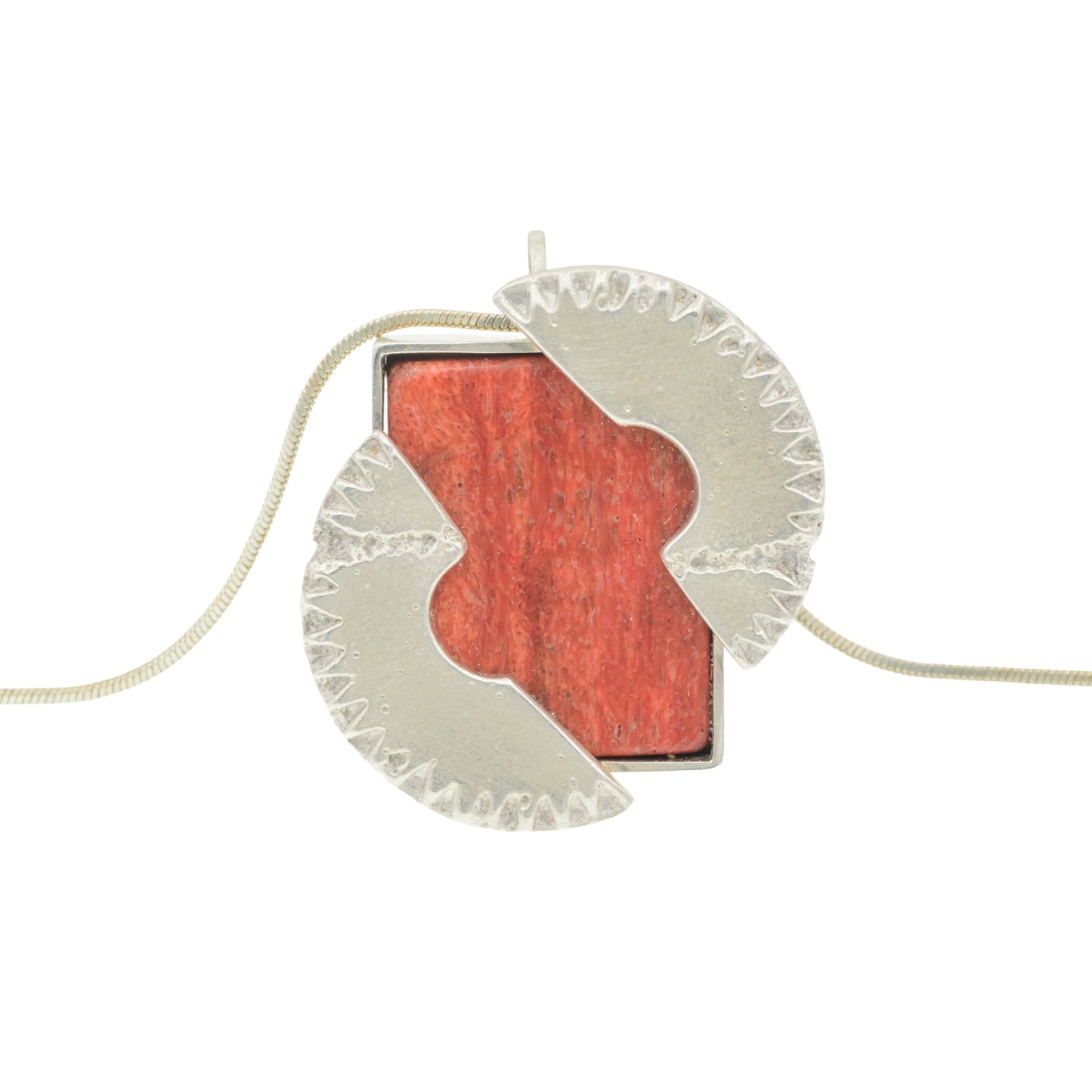 Dino fossil in compass frame