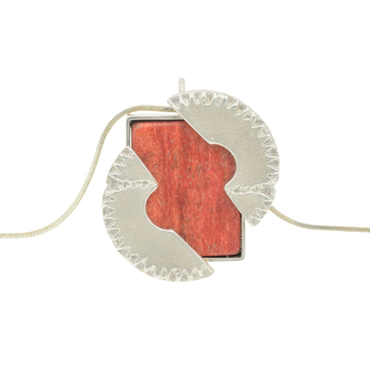 Dino fossil in compass frame